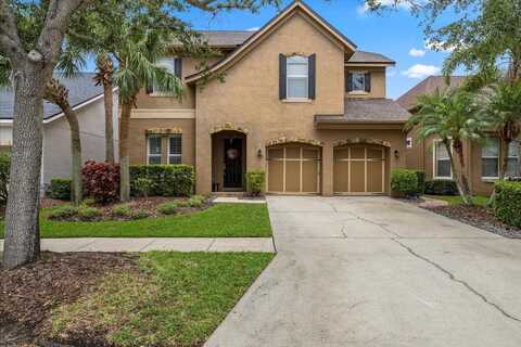 11607 MERIDIAN POINT DRIVE, TAMPA, FL 33626