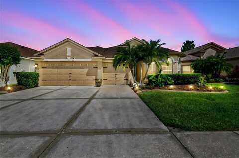 3148 SAGO POINT COURT, LAND O LAKES, FL 34639