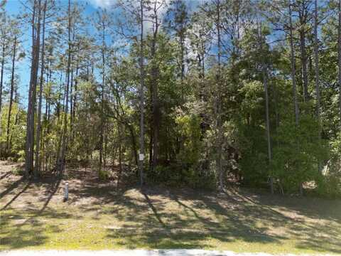 0 NE 101ST TERRACE, ARCHER, FL 32618
