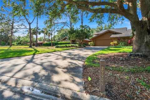 29909 BAYWOOD LANE, WESLEY CHAPEL, FL 33543