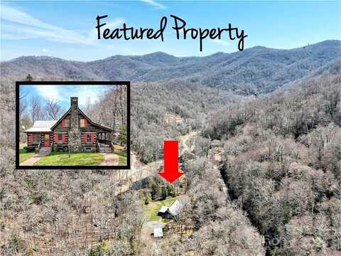 7810 Little Snowbird Rd, ROBBINSVILLE, NC 28771