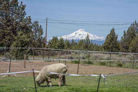 14275 SW Stallion Drive, Terrebonne, OR 97760