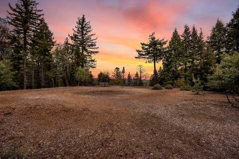 235 Feather LN, SANTA CRUZ, CA 95060