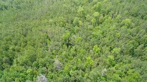 Tbd Trafton Road, Parkman, ME 04443
