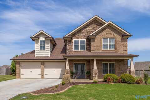 17289 Obsidian Circle, Athens, AL 35613