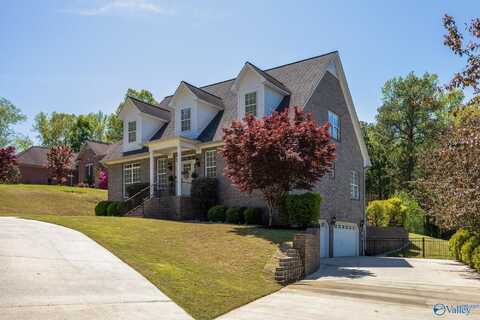 3505 Chula Vista Ridge Drive SW, Decatur, AL 35603