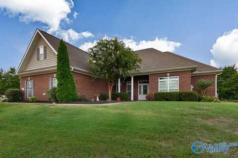 133 Mill Park Lane, Madison, AL 35758