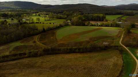 14.4 Acres County Road 11, Scottsboro, AL 35768