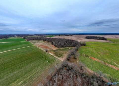 Lot 1 Mack Road, Athens, AL 35611