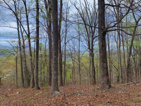 Lot 65 Timberline Drive, Young Harris, GA 30582