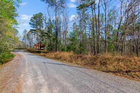 1.02 Ac- Monitor Drive, Ellijay, GA 30540