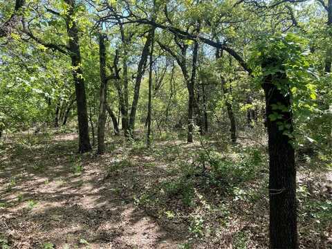 Tbd Griffin St Griffin Street, Azle, TX 76020