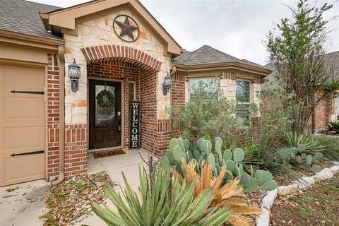 15036 Seventeen Lakes Boulevard, Fort Worth, TX 76262