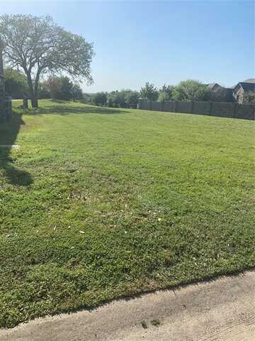 12355 Fairway Meadows Drive, Fort Worth, TX 76179