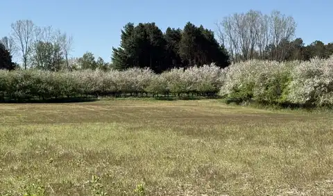 5140 37 Mile Road - Bruce Township, Romeo, MI 48065