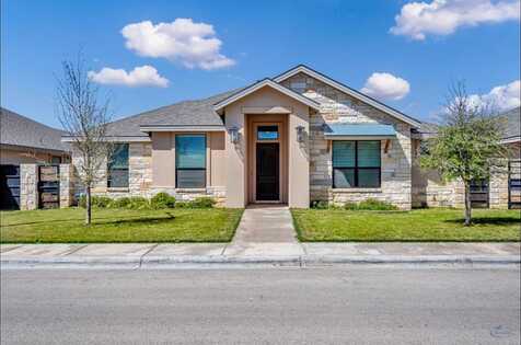 313 Peregrine Hill Circle, Midland, TX 79707