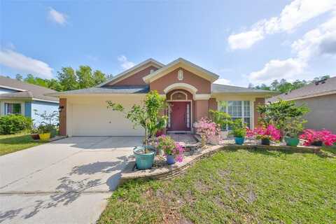 5624 DARK STAR LOOP, WESLEY CHAPEL, FL 33544