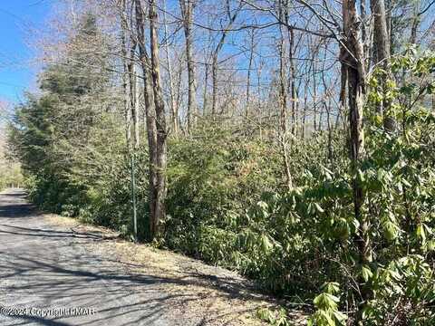 C475 Treetop Lane, Albrightsville, PA 18210