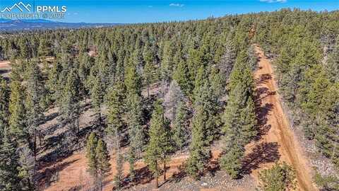 81 Garnet Way, Florissant, CO 80816
