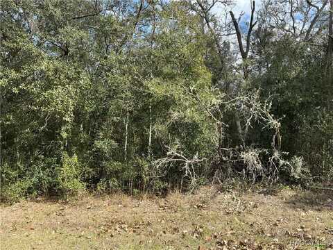 10535 N Skylark Terrace, Citrus Springs, FL 34434