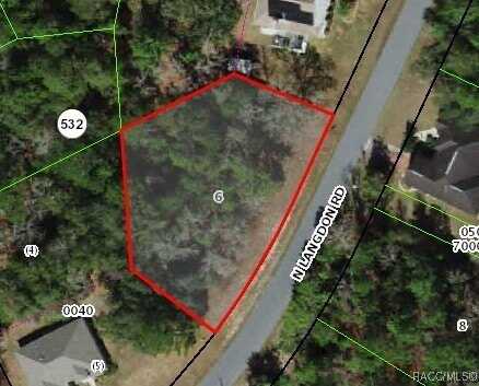 9630 N Langdon Road, Dunnellon, FL 34434