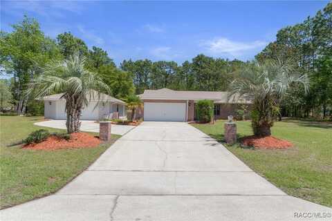 4749 N Pink Poppy Drive, Beverly Hills, FL 34465