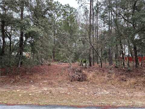 8077 N Gulliver Way, Citrus Springs, FL 34434