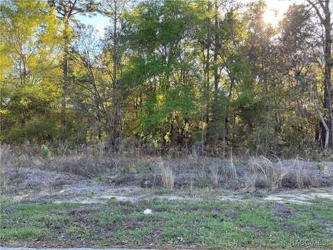 9262 N Pineview Way, Citrus Springs, FL 34434