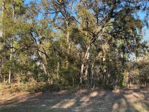 8047 N Vince Drive, Citrus Springs, FL 34434