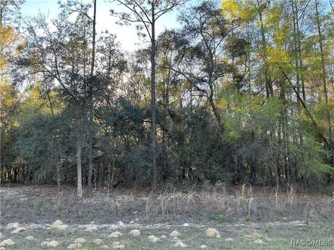 8468 N Wallingford Avenue, Citrus Springs, FL 34434