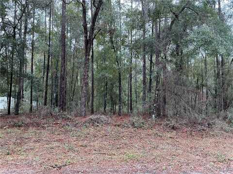 8710 N Spikes Way, Dunnellon, FL 34434