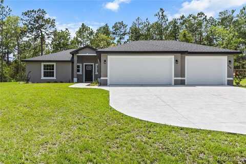 8768 N Hasting Drive, Citrus Springs, FL 34433