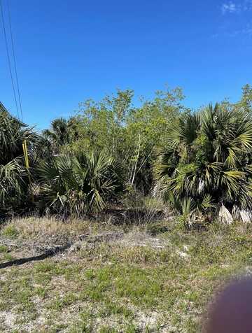 10 Americus Ave, Port Saint Joe, FL 32456