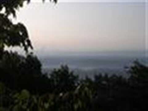 1080 Black Bear Trail, Evensville, TN 37332