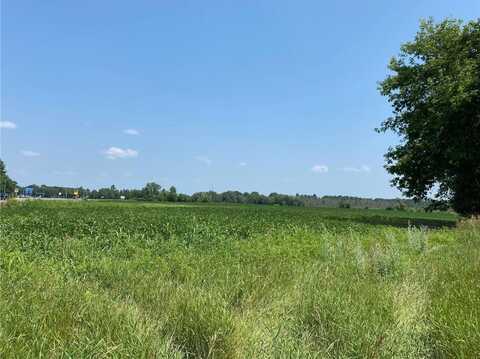HWY 65 NE, Stanchfield, MN 55006