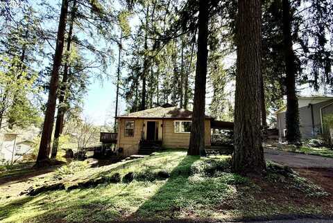 4224 HAVEN ST, Lake Oswego, OR 97035