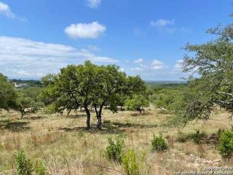1074 Madrone Road, Fischer, TX 78623