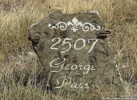 2507 George Pass, Canyon Lake, TX 78133