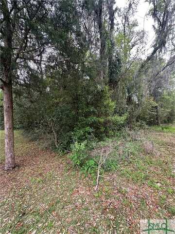 Lot 3 Gamble Street, Ludowici, GA 31316