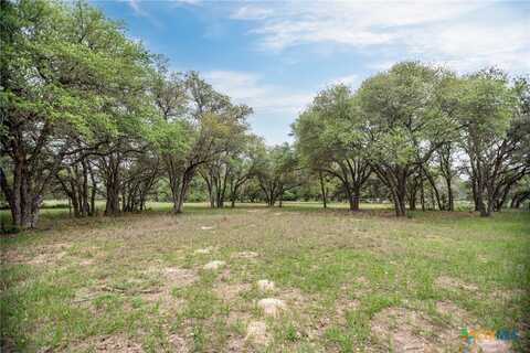 352 CR 1301 Street, Edna, TX 77957