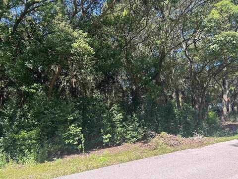 Xxx NW 6th Street, Carrabelle, FL 32322