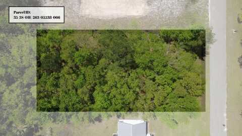 Old Palmetto Path, Saint Marks, FL 32355