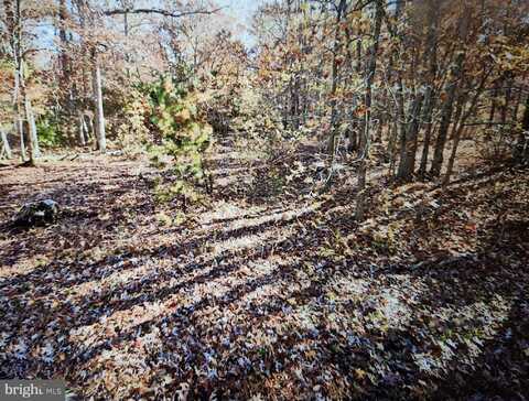 6704 Lot 1 BUCKINGHAM TERRACE, VINELAND, NJ 08360