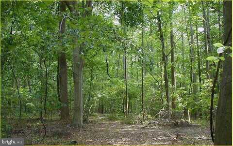 12605 CEDARVILLE ROAD, BRANDYWINE, MD 20613