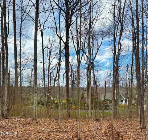 Lot 22 Stonewall Ridge, Bristol, VA 24202