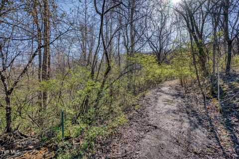 Tbd Cannon Hill Drive, Elizabethton, TN 37643