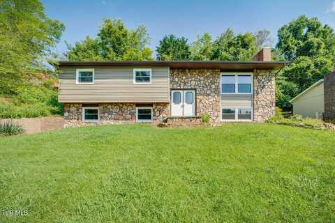 132 Lancaster Drive, Kingsport, TN 37663