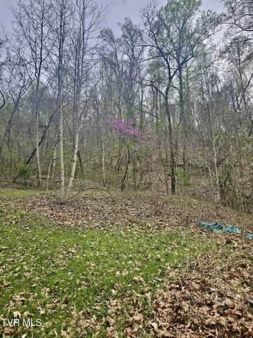 0 Christians Bend Road, Church Hill, TN 37642