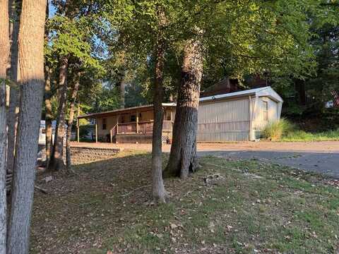 55 Loving Dr, SPRINGVILLE, TN 38256
