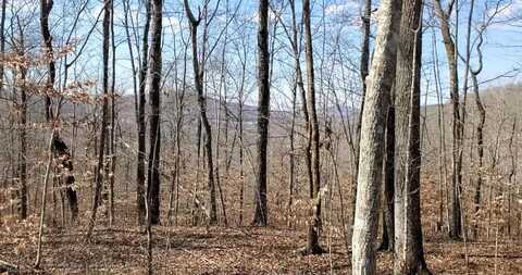 69.77 AC Choctaw Drive, Jamestown, TN 38556